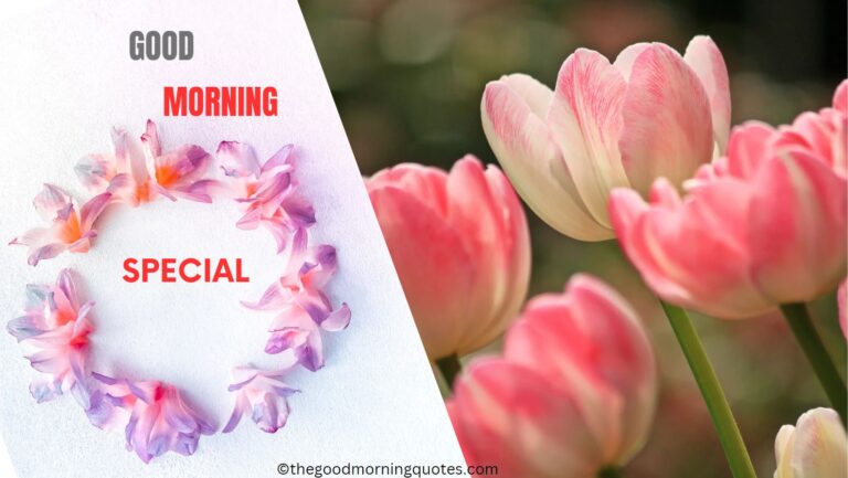 SPECIAL 50 GOOD MORNING QUOTES