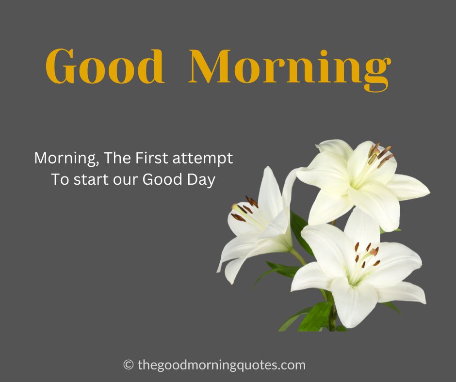 special good morning quotes