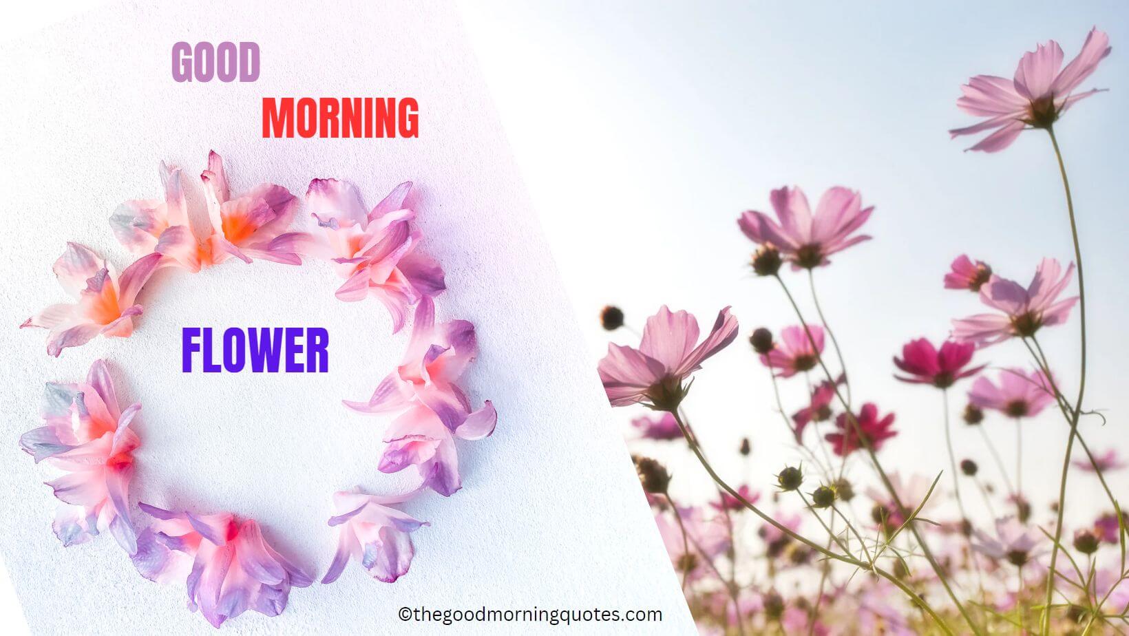 good morning Flower quotes