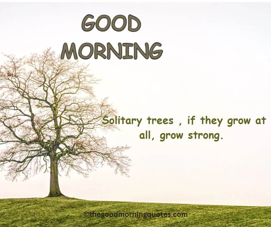 Good Morning Nature Quotes