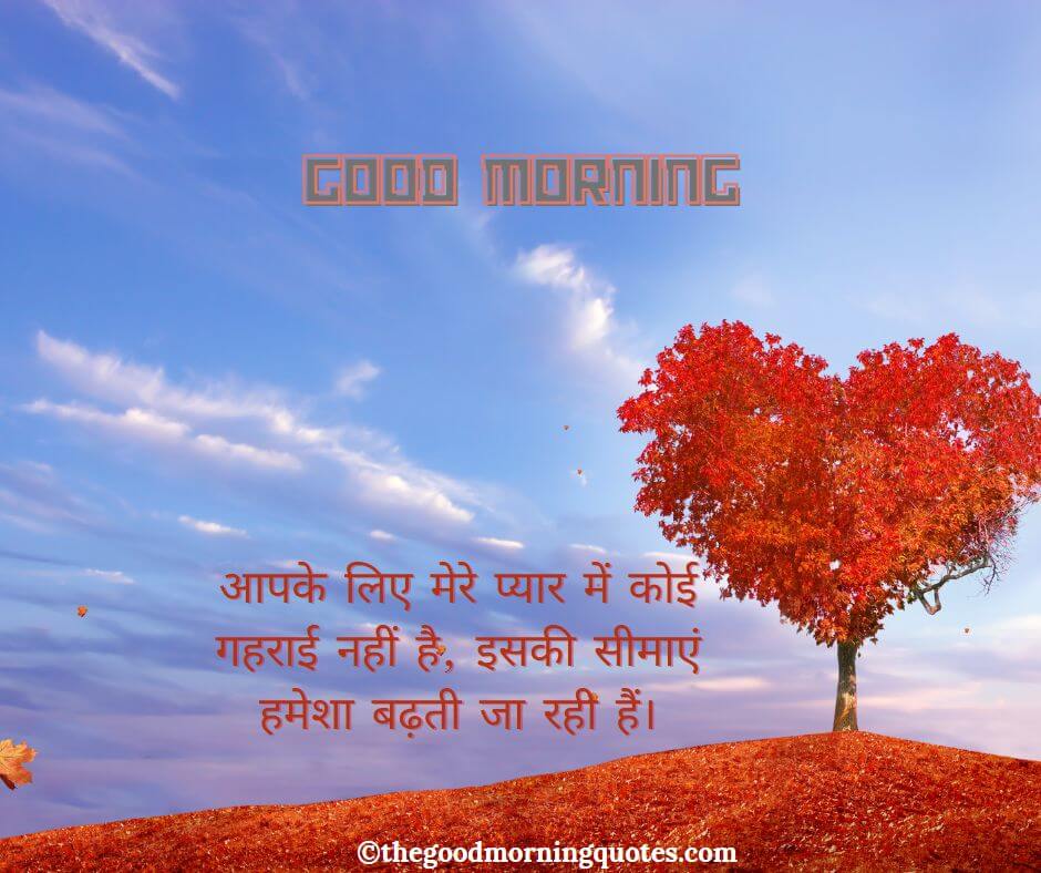 Good Morning Hindi Quotes Images For Him
