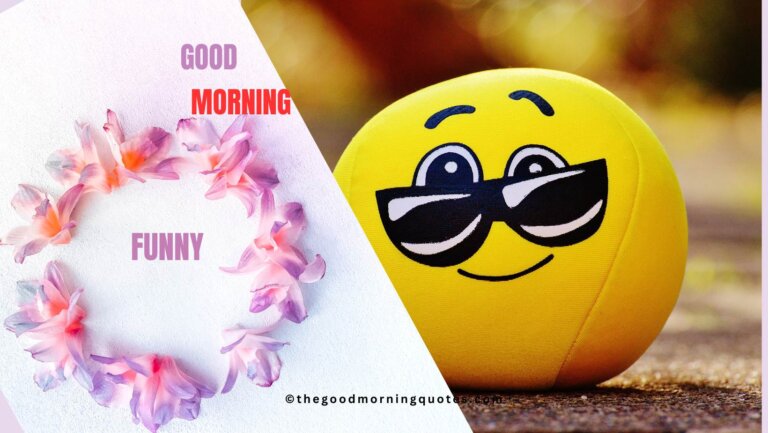 Funny Good Morning Quotes in Hindi