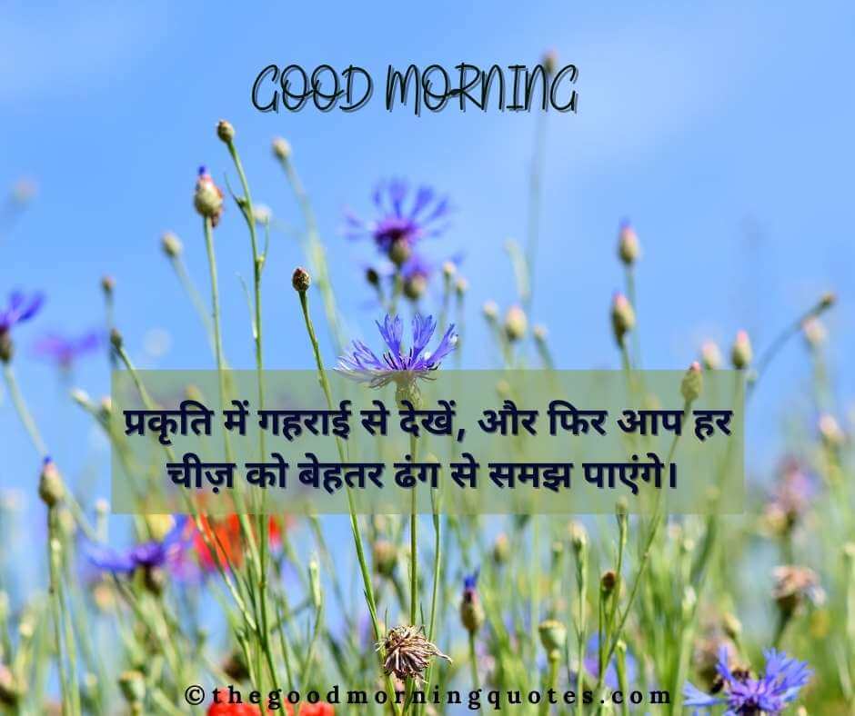  Good Morning Nature Quotes in Hindi
