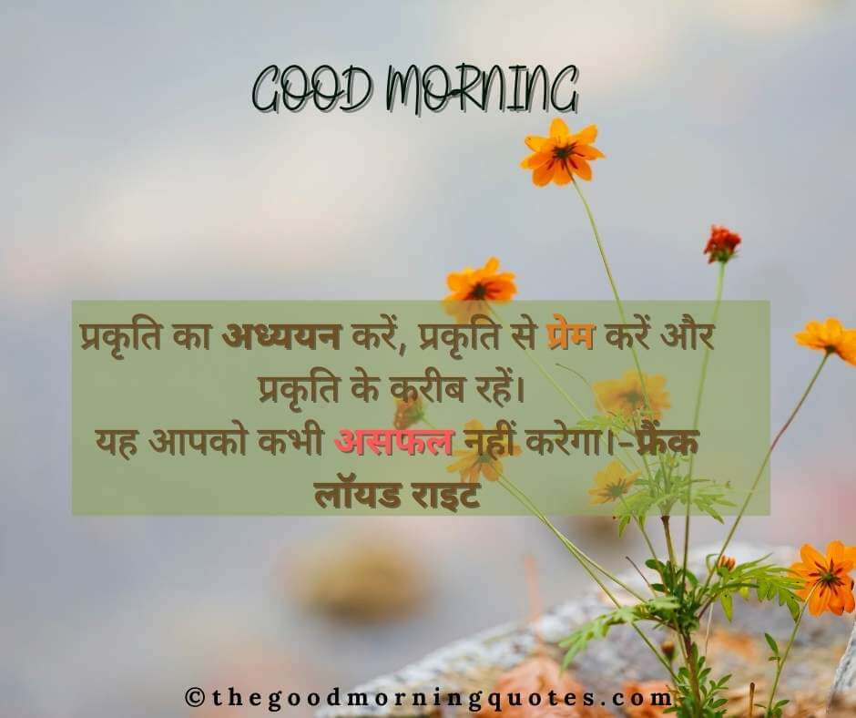 Good Morning Nature Quotes in Hindi