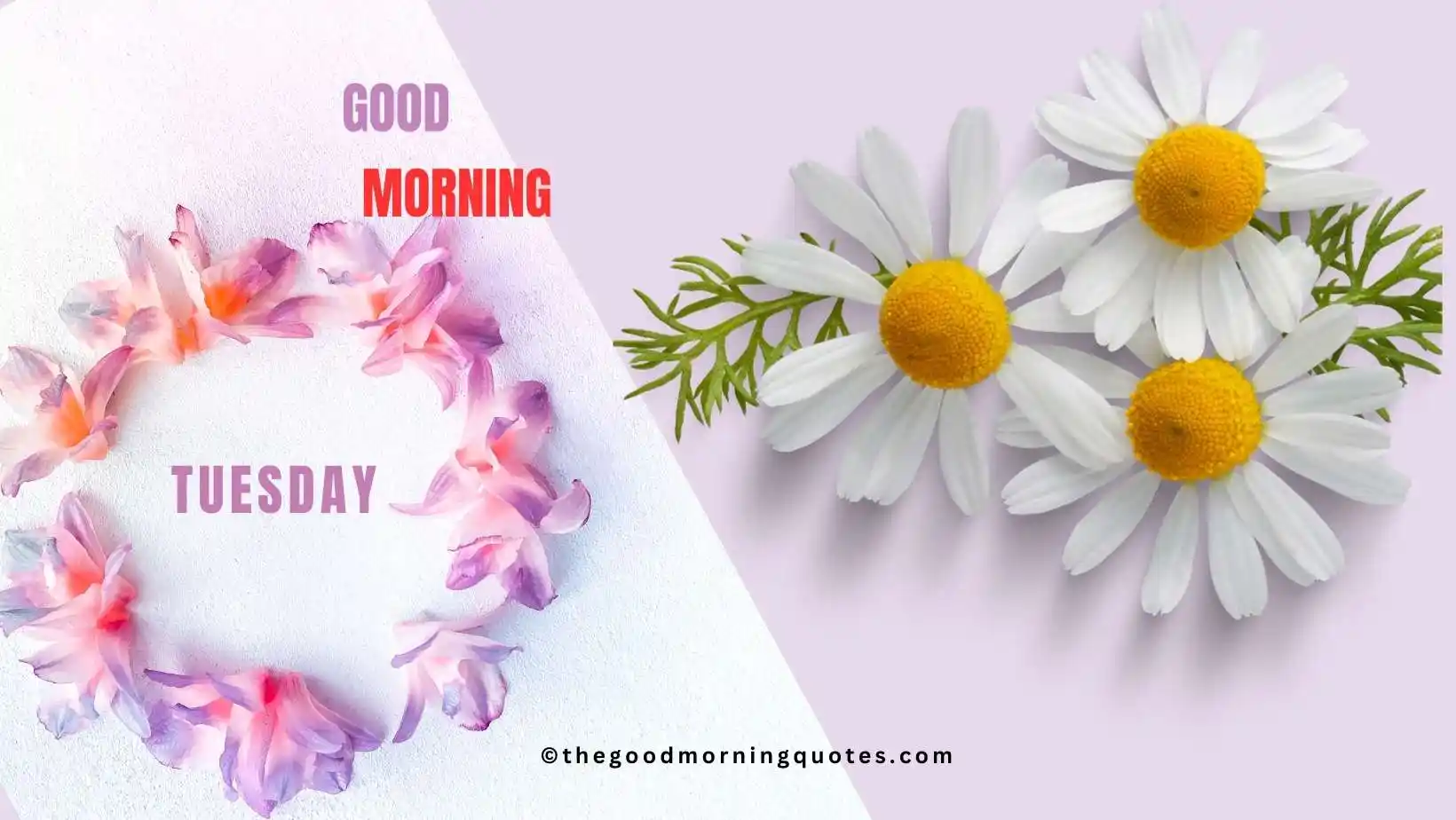 Tuesday Good Morning Quotes in Hindi