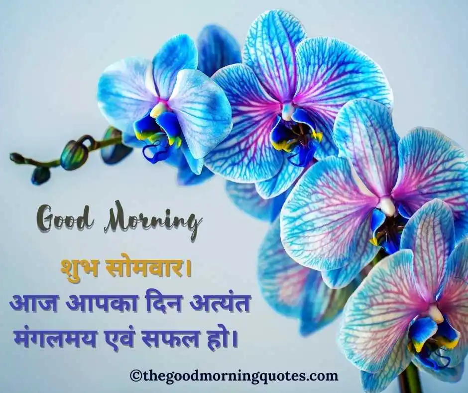Monday Good Morning Quotes in Hindi 