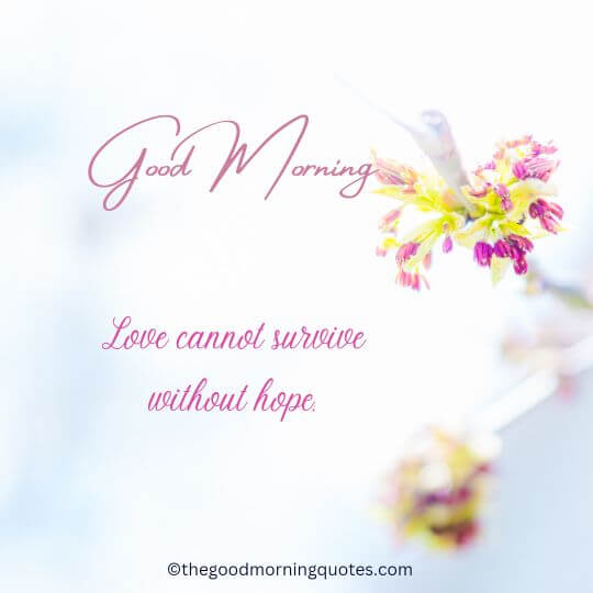 Good Morning Quotes on Hope