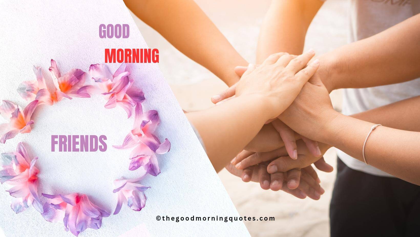 Best Trending Good Morning Quotes for Friends 2024