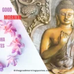 Positive Buddha Quotes in Hindi