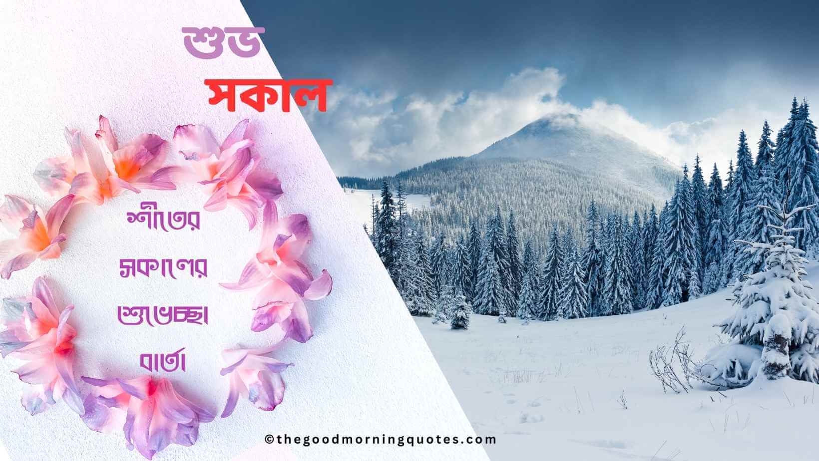 100+ শীতের সকালের শুভেচ্ছা বার্তা ।। Amazing Winter Quotes