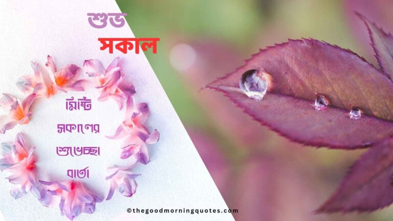 মিষ্টি সকালের শুভেচ্ছা বার্তা