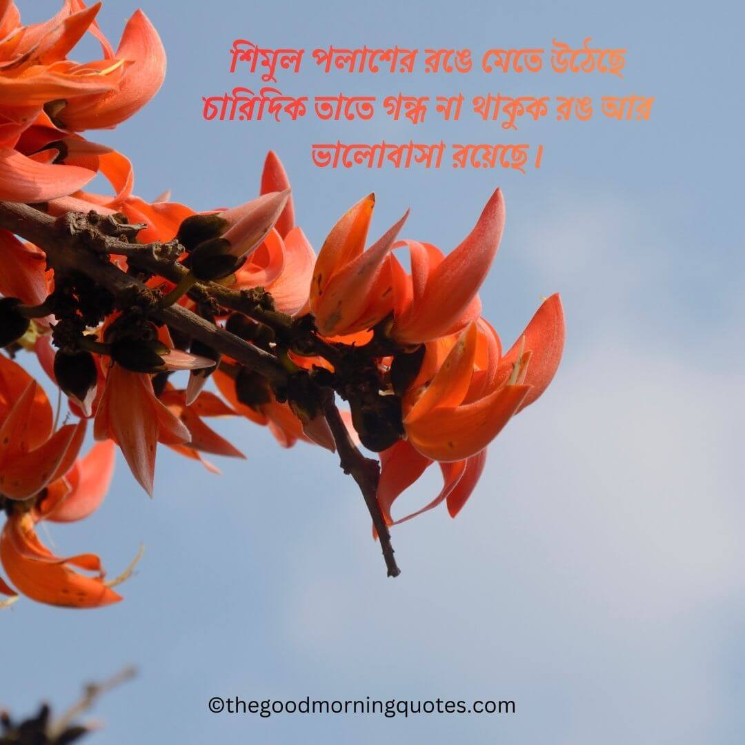 Happy Thursday morning to you and your family._20260302_003233_0000