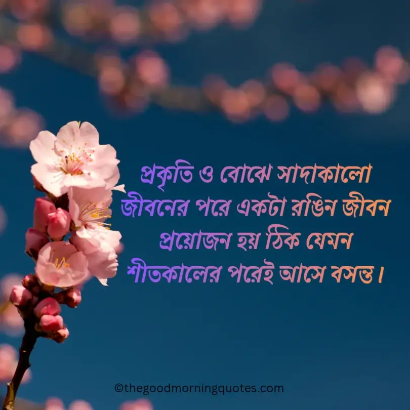 Happy Thursday morning to you and your family._20260302_003733_0000