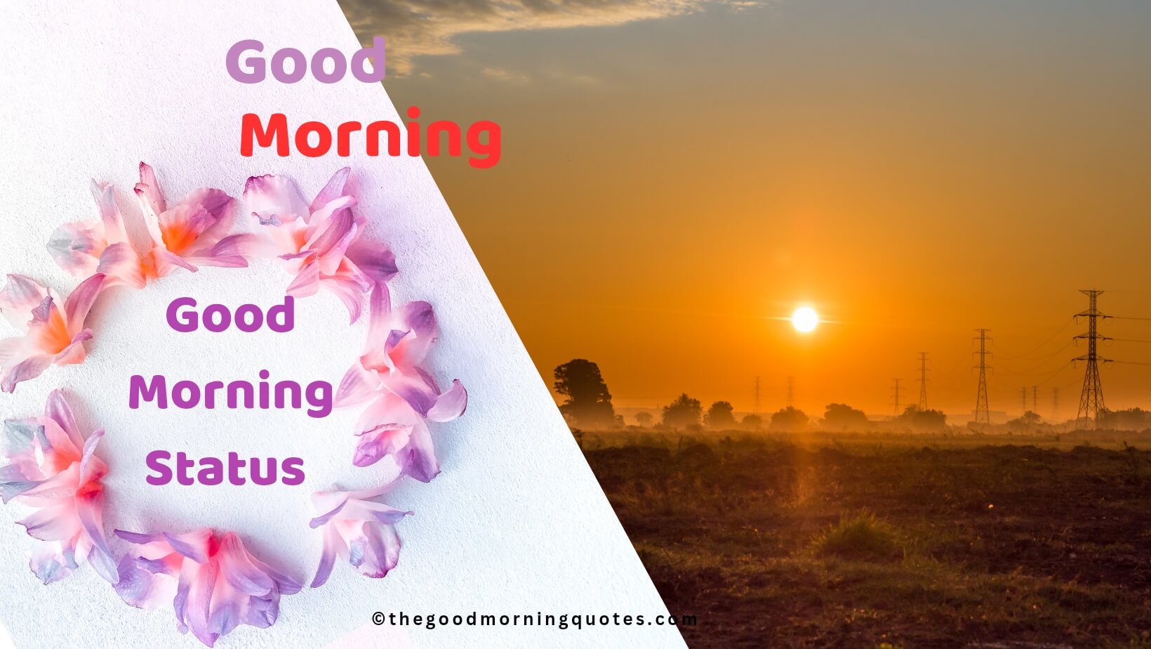 100+ Best Good Morning Status That Will Make Your Whole Day Beautiful